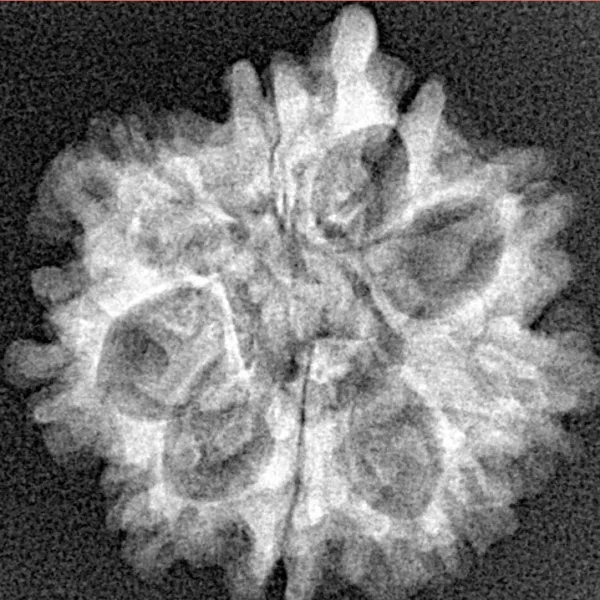 9 Mukhi Ganesh 22.2mm 3gm - Xray