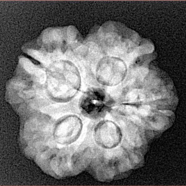 1MK(Underdeveloped) 23.5mm 4.09gm - Xray