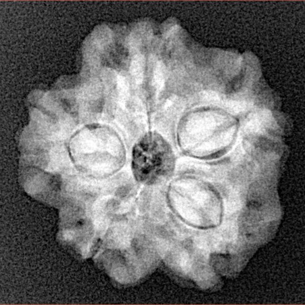 1MK(Underdeveloped) 22.6mm 3.54gm - Xray