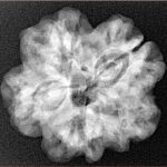 1MK(Underdeveloped) 24.5mm 5gm - Xray