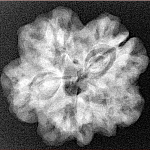 1MK(Underdeveloped) 24.5mm 5gm - Xray