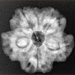 1MK(Underdeveloped) 24.4mm 4.48gm - Xray