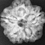 1MK(Underdeveloped) 23.7mm 4.57gm - Xray