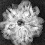 1MK(Underdeveloped) 23.5mm 4gm - Origin: Nepal - Xray