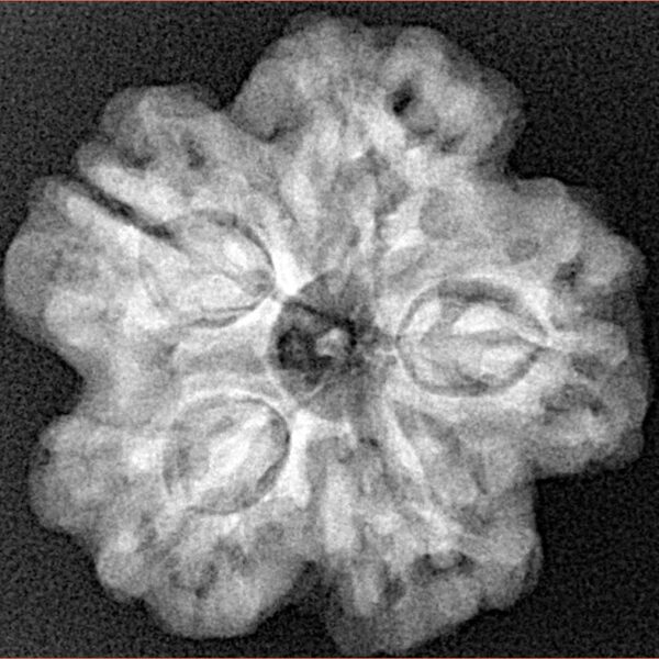 1MK(Underdeveloped) 24.6mm 4.84gm - Xray