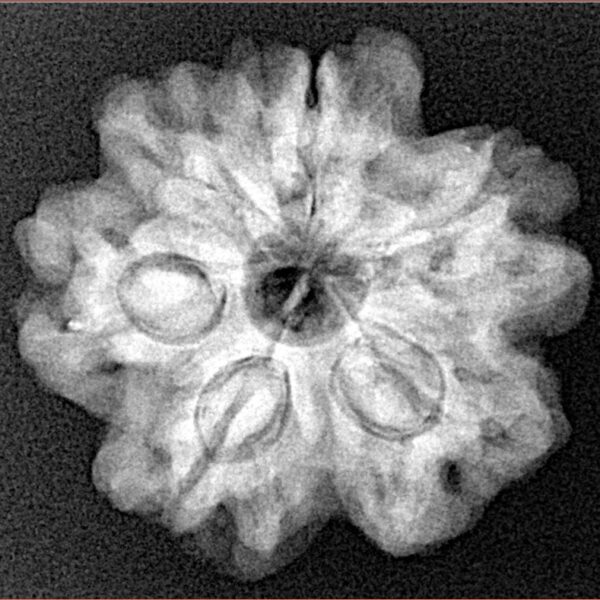 1MK(Underdeveloped) 23.5mm 4.61gm - Xray