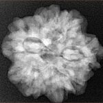 1MK(Underdeveloped) 24.6mm 4.82gm - Xray