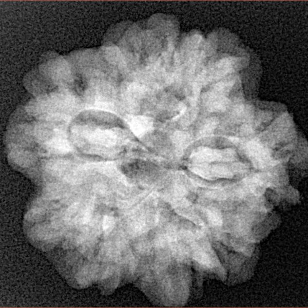 1MK(Underdeveloped) 24.6mm 4.82gm - Xray