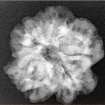 1MK(Underdeveloped) 24.5mm 4.59gm - Xray