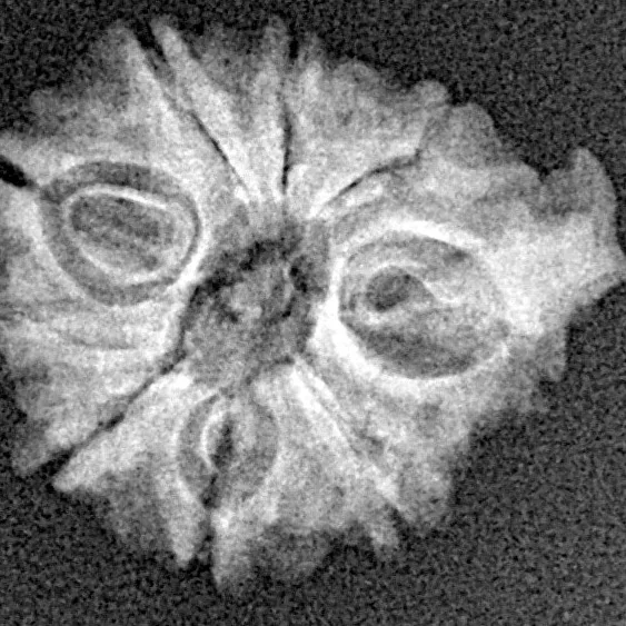 9 Mukhi Ganesh 19mm 1.73gm - Xray