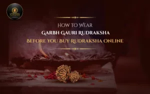How to Identify Original Garbh Gauri Rudraksha Before You Buy Rudraksha Online