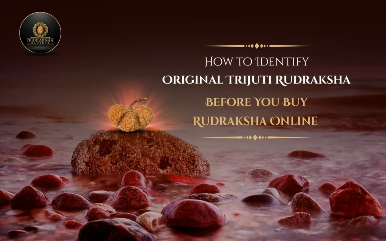 How to Identify Original Trijuti Rudraksha Before You Buy Rudraksha Online 