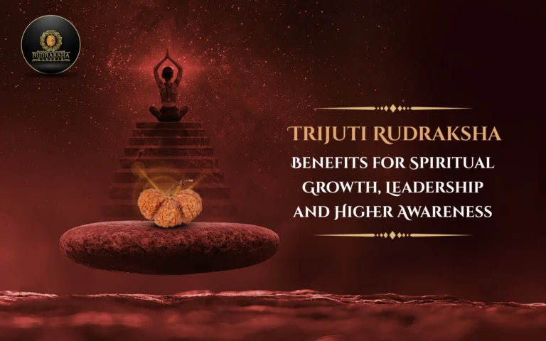 Trijuti Rudraksha Benefits for Spiritual Growth, Leadership and Higher Awareness 