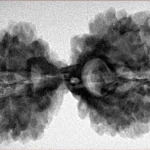 11 MK Gaurishankar 39.3mm 7.28gm - Inverse xray