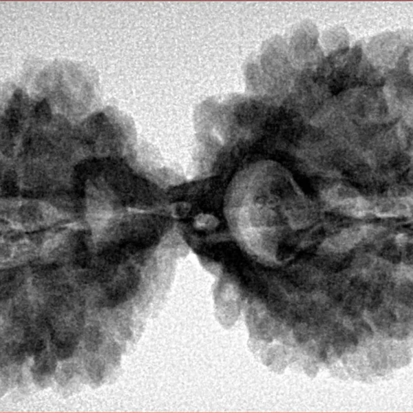 11 MK Gaurishankar 39.3mm 7.28gm - Inverse xray