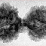 12 MK Gaurishankar 37.8mm 7.21gm - Inverse xray