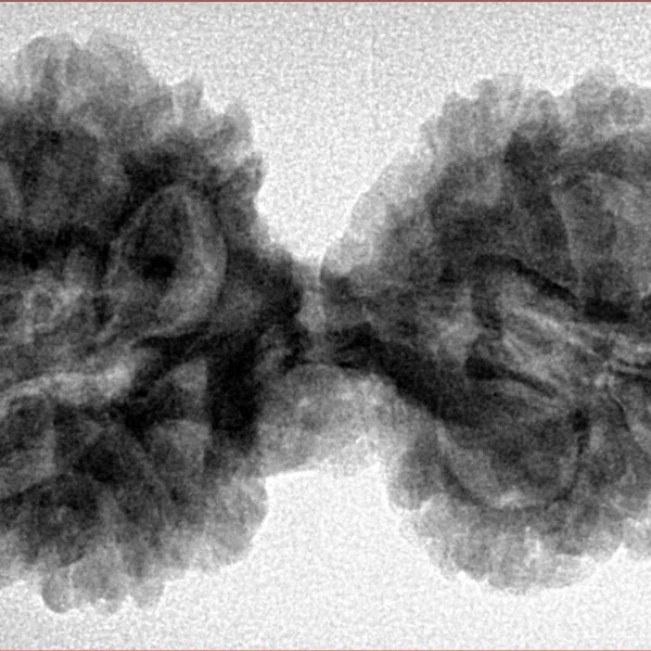 12 MK Gaurishankar 37.8mm 7.21gm - Inverse xray
