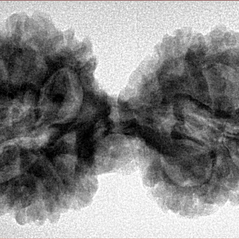 12 MK Gaurishankar 37.8mm 7.21gm - Inverse xray