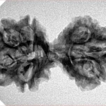 7 MK Gaurishankar 33mm 3.54gm - Inverse xray