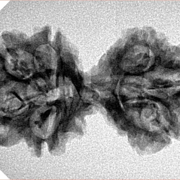 7 MK Gaurishankar 33mm 3.54gm - Inverse xray