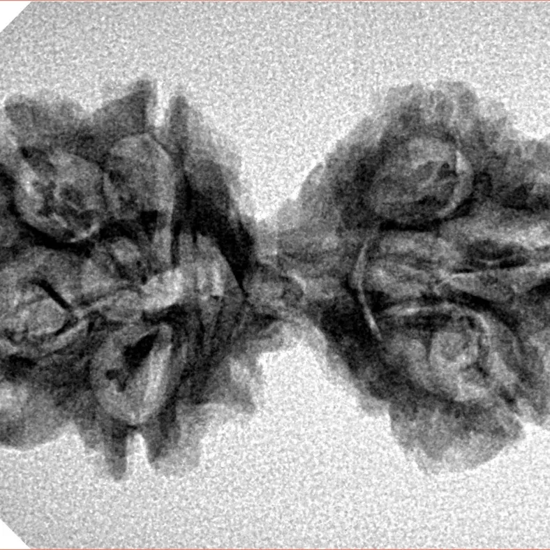 7 MK Gaurishankar 33mm 3.54gm - Inverse xray