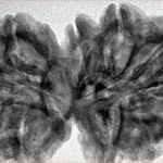 11 MK Gaurishankar 38.7mm 8.52gm - Inverse xray