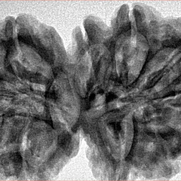 11 MK Gaurishankar 38.7mm 8.52gm - Inverse xray