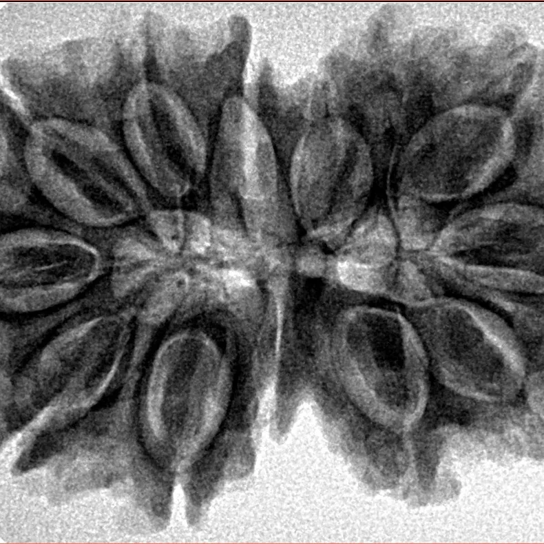 13 MK Gaurishankar 34.7mm 6.2gm - Inverse xray