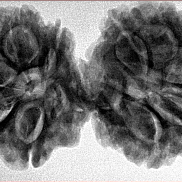 10 Mk Gaurishankar 39.8mm 8.32gm - Inverse xray