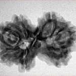 7 MK Gaurishankar 27.9mm 4.17gm - Inverse xray