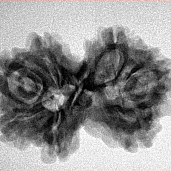7 MK Gaurishankar 27.9mm 4.17gm - Inverse xray