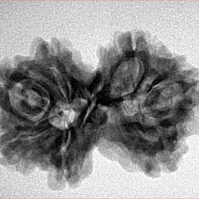 7 MK Gaurishankar 27.9mm 4.17gm - Inverse xray