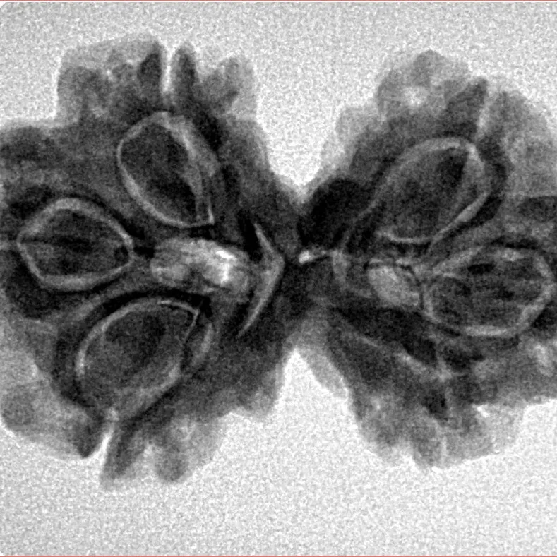 6 Mk Gaurishankar 30.8mm 5.1gm - Inverse xray