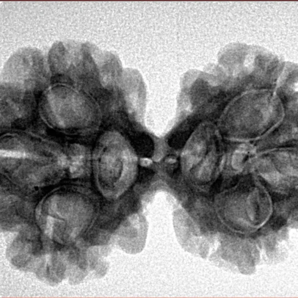 6 Mk Gaurishankar 32.6mm 5.57gm - Inverse xray