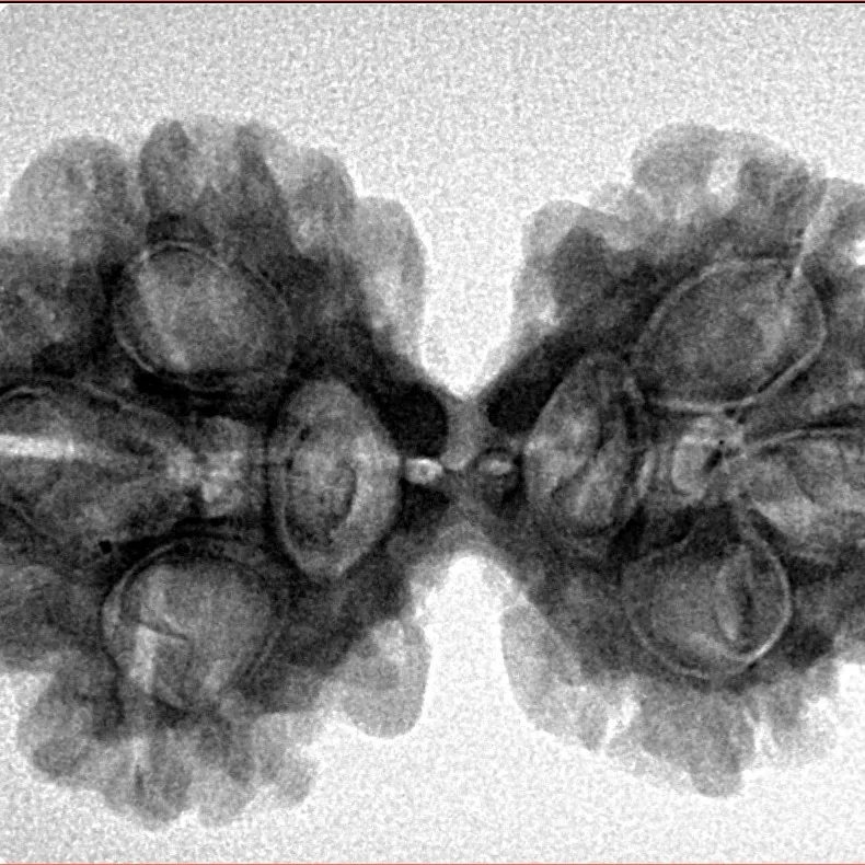 6 Mk Gaurishankar 32.6mm 5.57gm - Inverse xray