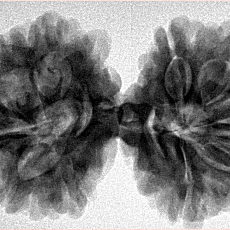 10 Mk Gaurishankar 37.1mm 7.33gm - Inverse xray