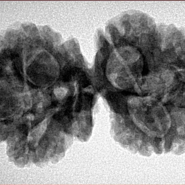 6 Mk Gaurishankar 35.5mm 6.41gm - Inverse xray