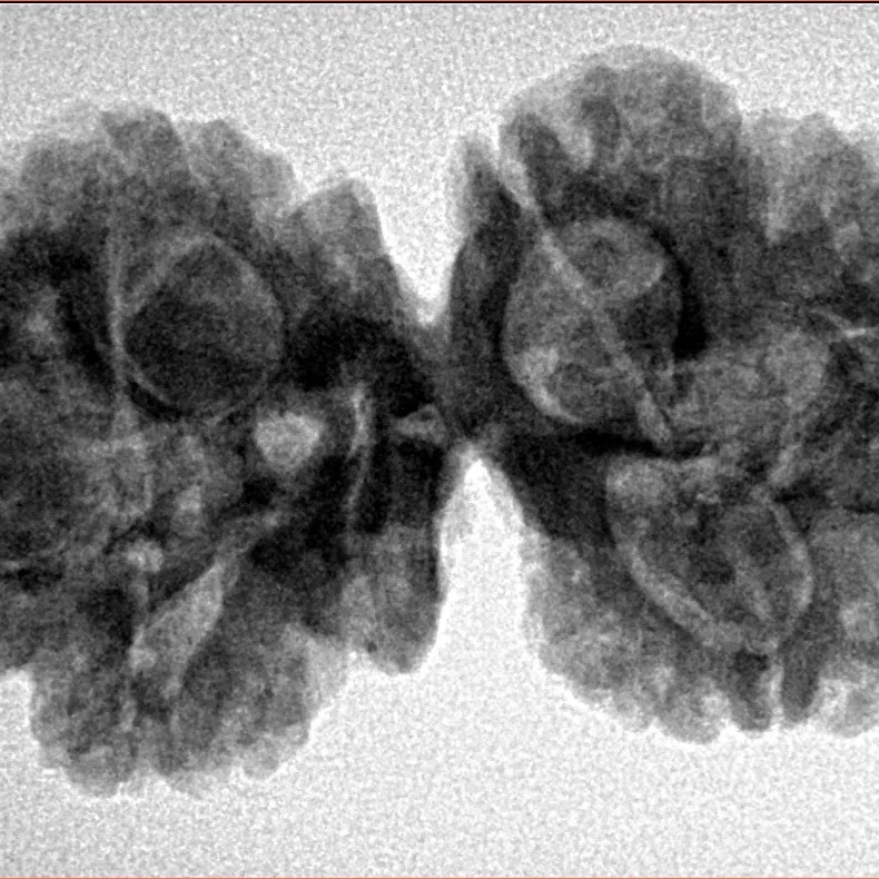 6 Mk Gaurishankar 35.5mm 6.41gm - Inverse xray