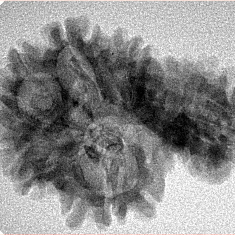 Sawar/Ganesh ( 5+1 ) 30.7mm 3.52gm - Inverse xray
