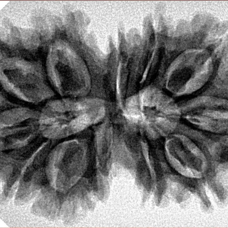 12 MK Gaurishankar 35.6mm 6.18gm - Inverse xray