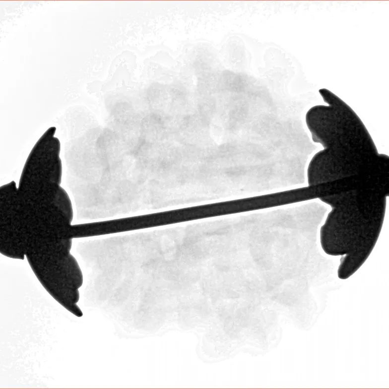 1MK(Underdeveloped) 20.3mm 5gm - Inverse xray