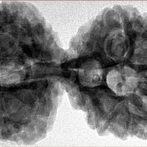 11 MK Gaurishankar 42.4mm 9.82gm - Inverse xray