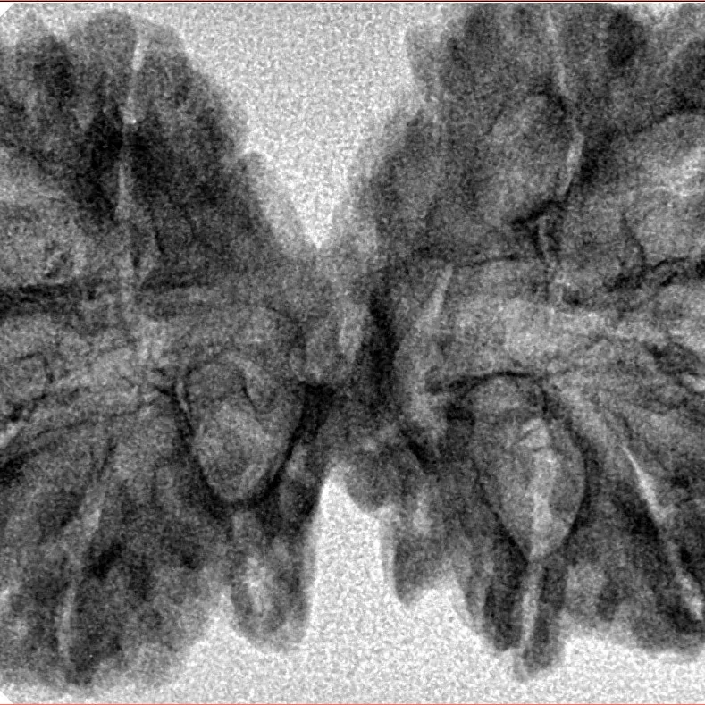 9 MK Gaurishankar 41.4mm 5.61gm - Inverse xray