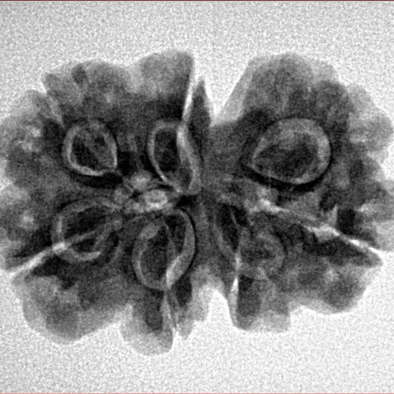 7 MK Gaurishankar 26.3mm 4.67gm - Inverse xray