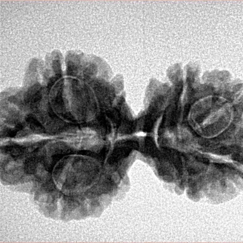 7 MK Gaurishankar 28.8mm 3.79gm - Inverse xray