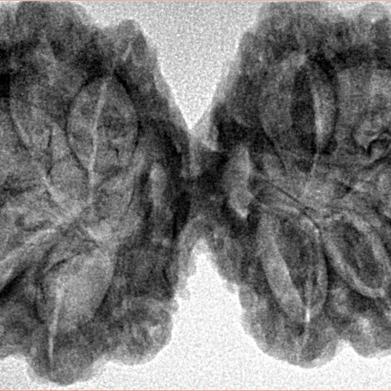 11 MK Gaurishankar 38.3mm 7.17gm - Inverse xray