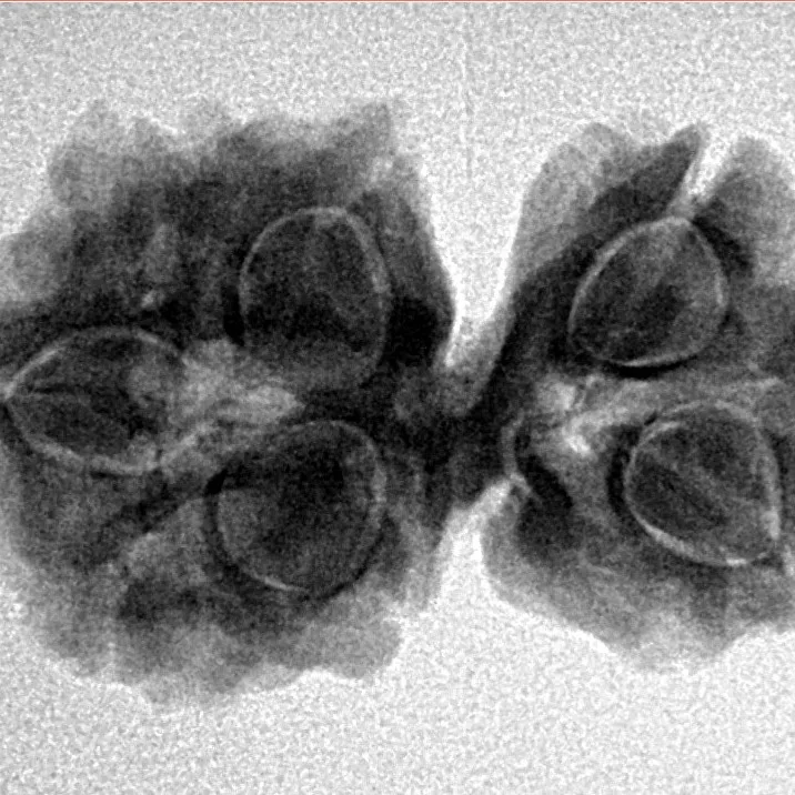 7 MK Gaurishankar 27.9mm 4gm - Inverse xray