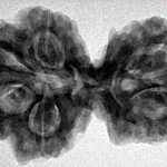 6 Mk Gaurishankar 32.6mm 6.64gm - Inverse xray