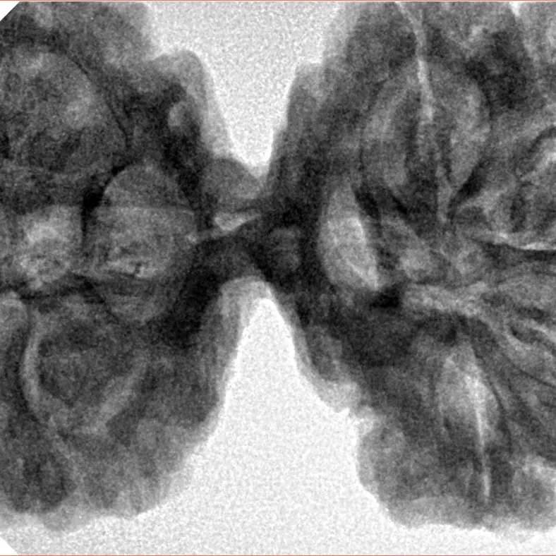 8 MK Gaurishankar 43.2mm 11.53gm - Inverse xray