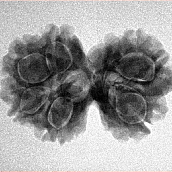 7 MK Gaurishankar 25.7mm 3.68gm - Inverse xray